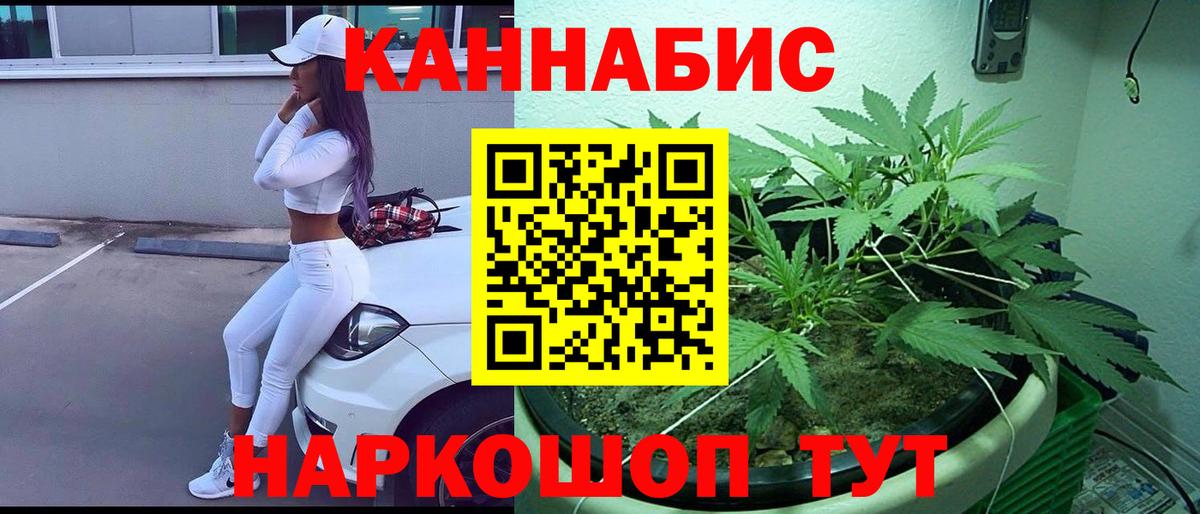 Канабис конопля  Марихуана сатива  Печора  Вход с VPN 